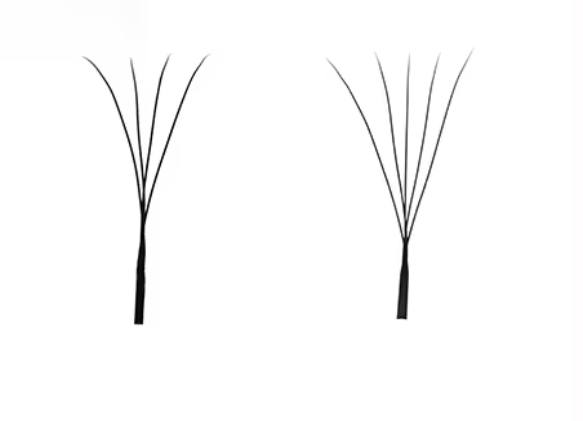 Black SPEEDY W-sarja - Image 4