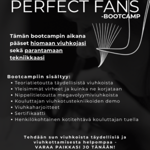 PERFECT FANS -bootcamp - Image 2